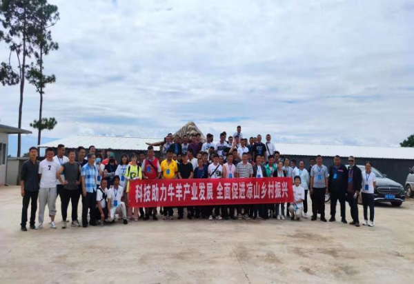 图片4 图片4