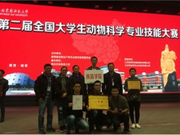 图片11 图片11