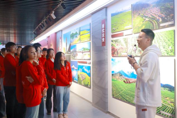 图片9 图片9