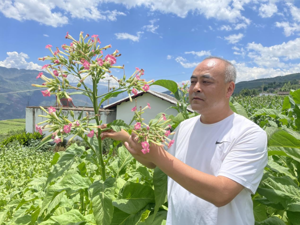 郑传刚 郑传刚